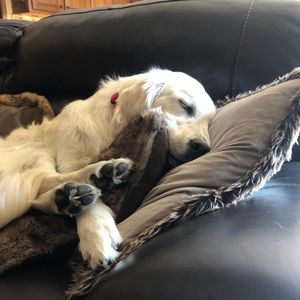 Meet your Posher, Ty